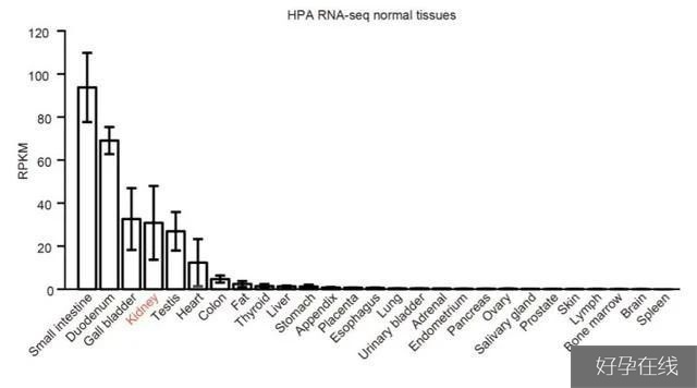 人类组织中ACE2RNA表达水平（来源：medRxiv）