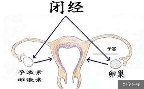 排卵障碍的影响