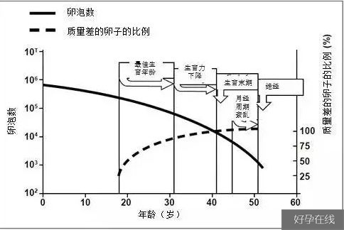 amh及afc岁年龄增长而降低