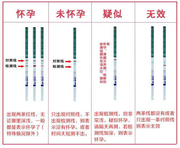 测怀孕的結果