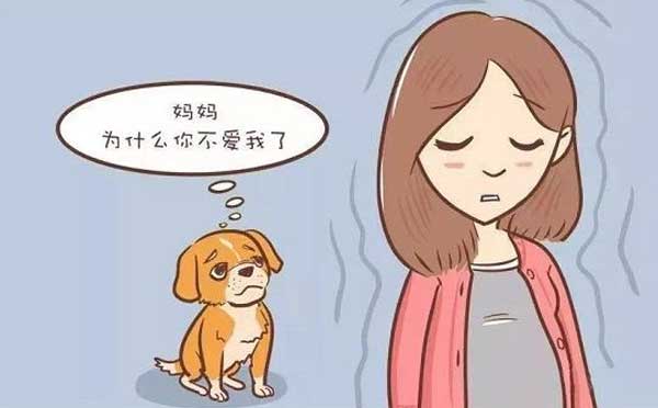 怀孕期内养动物的影响