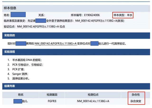 基因检验报告实例