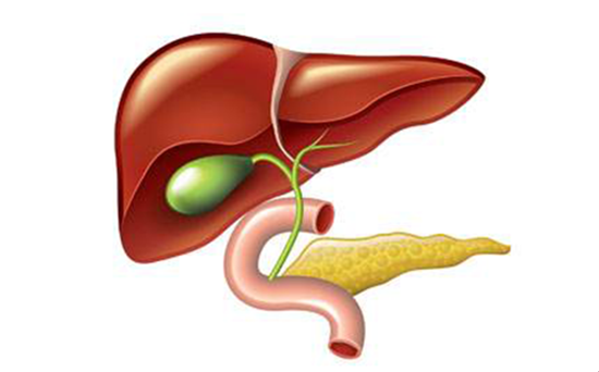 甘胆酸的临床意义