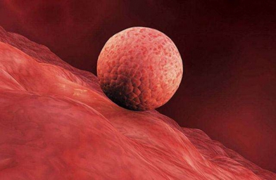 合肥女性子宫内膜薄，干细胞治疗怎么样？