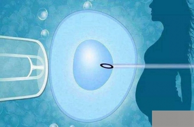 合肥想要双胞胎，试管可以移植两个胚胎吗？