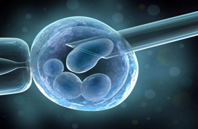合肥格鲁吉亚ReproArt诊所专家解释取卵对卵巢的伤害大吗？
