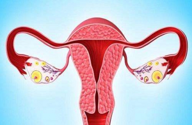 合肥格鲁吉亚ReproArt诊所专家解释取卵后卵巢该如何保养？