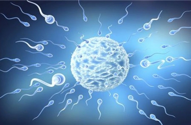 合肥男性精子很差还可以试管婴儿吗？-备孕试管不孕不育知识