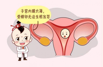 合肥备孕试管婴儿知识_子宫内膜薄怎么调理